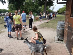 Nodig jouw wethouder(s) uit op de kinderboerderij en ontvang €250