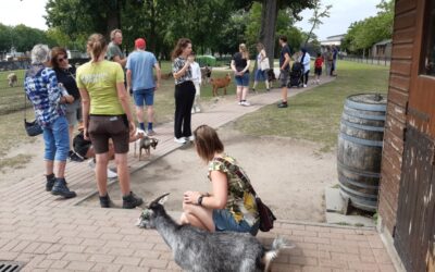 Nodig jouw wethouder(s) uit op de kinderboerderij en ontvang €250