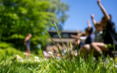 Oproep: denk mee over een verkorte opleiding dierverzorging