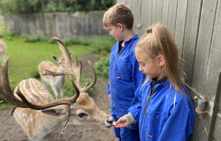 Dierenwelzijnsvisie