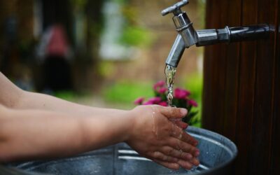 Handen wassen blijft het belangrijkste advies tegen ziekte door dieren