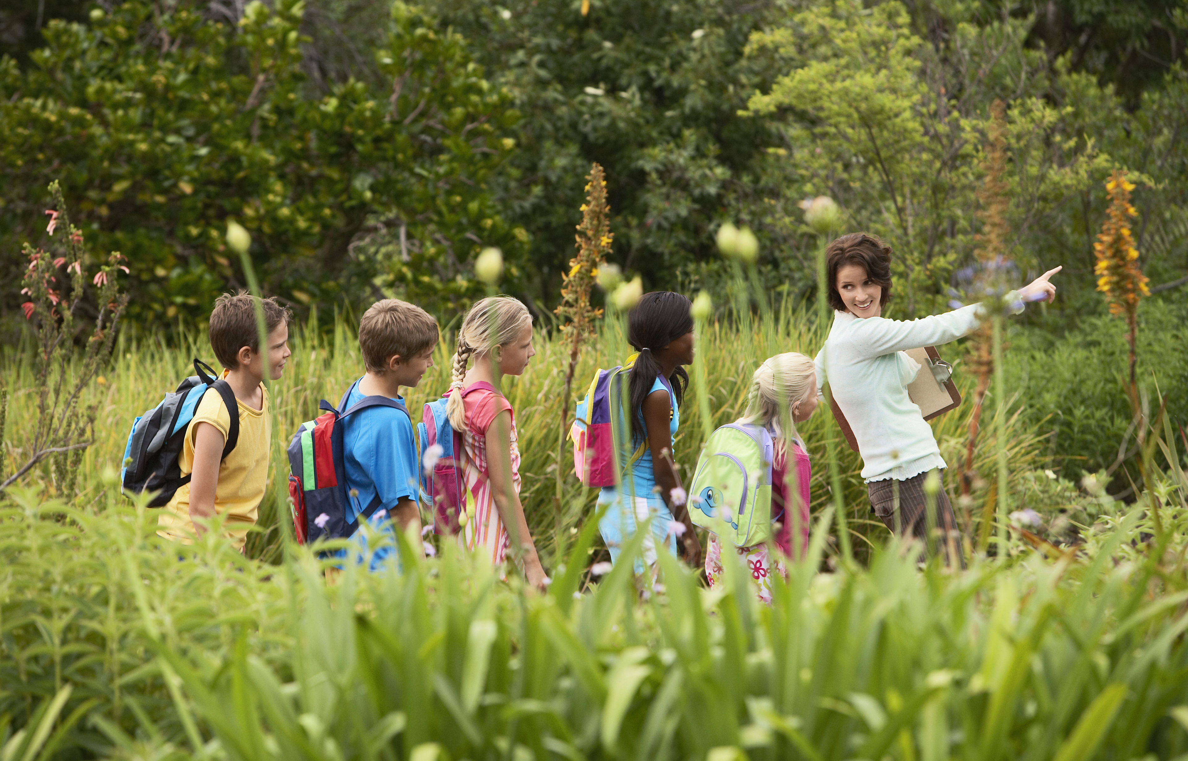 Inspiratiemiddag Kind en Natuur (Zuid): Hoe samen verder in 2027?