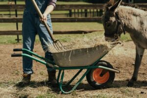 Pensioenbericht voor kinderboerderijen aangesloten bij CAO Sociaal werk