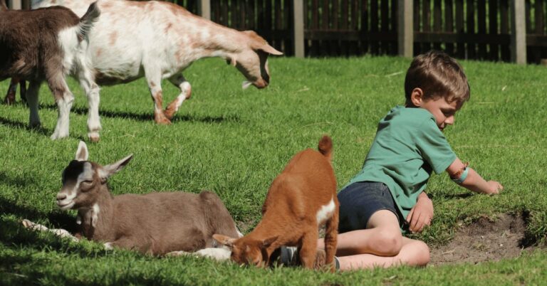 Netwerkcoördinator Natuur- en Duurzaamheidseducatie & Stads- en Kinderboerderijen (16 uur)