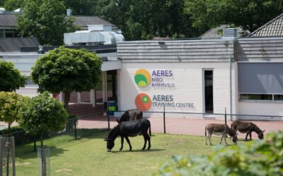 Terugblik STRIK-dag 2025: ‘Bezoek vaker een kinderboerderij’