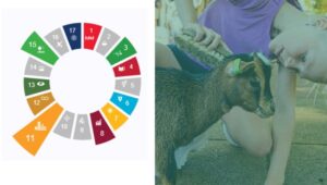 Korting op een Social Handprint-meting van MAEX voor kinderboerderijen