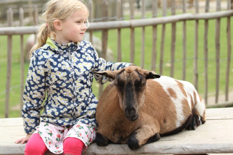 Onderzoek naar vaccinatie tegen Q-koorts op kinderboerderijen: help je mee?